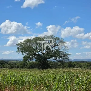 TR28-1354571-09.webp